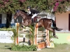 prova04_vibra-branding-esportivo-120m-1-lugar-david_rittner-gregori-2