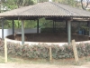 dsc05936