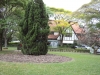 dsc06085
