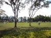 dsc06324