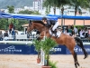 14-11-2014_Longines Equestrian Festival. CSN 76 AniversÃ¡rio da Sociedade Hipica Brasileira. Foto: BeatrizCunha.com.br