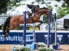 14-11-2014_Longines Equestrian Festival. CSN 76 AniversÃ¡rio da Sociedade Hipica Brasileira. Foto: BeatrizCunha.com.br