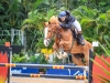 15-11-2014_Longines Equestrian Festival. CSN 76 AniversÃ¡rio da Sociedade Hipica Brasileira. Foto: BeatrizCunha.com.br