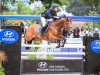 15-11-2014_Longines Equestrian Festival. CSN 76 AniversÃ¡rio da Sociedade Hipica Brasileira. Foto: BeatrizCunha.com.br