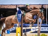 16-11-2014_Longines Equestrian Festival. CSN 76 AniversÃ¡rio da Sociedade Hipica Brasileira. Foto: BeatrizCunha.com.br
