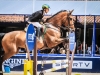 16-11-2014_Longines Equestrian Festival. CSN 76 AniversÃ¡rio da Sociedade Hipica Brasileira. Foto: BeatrizCunha.com.br