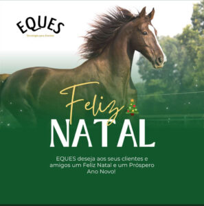 IMG_7774-297x300 FELIZ NATAL E PRÓSPERO ANO NOVO