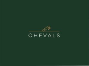logo-chevals-verde-1-300x225 08/08/2025 - IV RANKING CHEVALS 2025 - FRIDAY NIGHT LIGHT